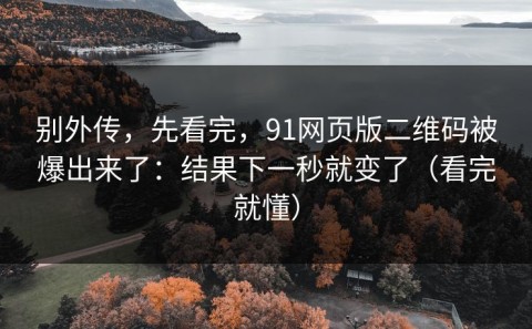 别外传，先看完，91网页版二维码被爆出来了：结果下一秒就变了（看完就懂）