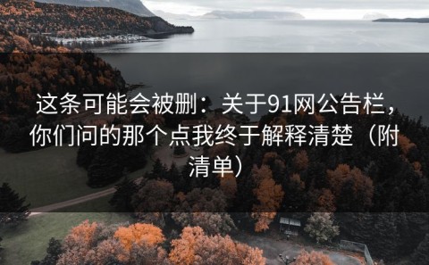 这条可能会被删：关于91网公告栏，你们问的那个点我终于解释清楚（附清单）