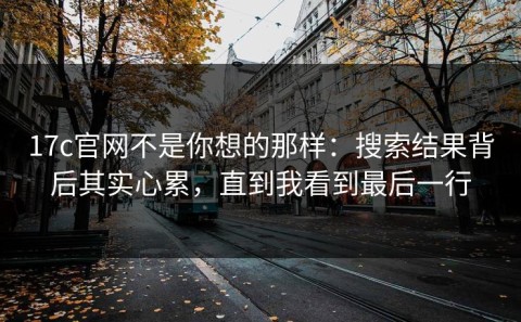 17c官网不是你想的那样：搜索结果背后其实心累，直到我看到最后一行