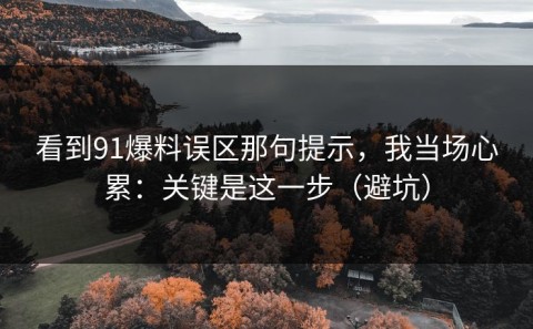 看到91爆料误区那句提示，我当场心累：关键是这一步（避坑）