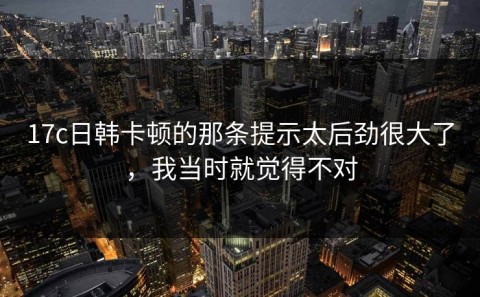 17c日韩卡顿的那条提示太后劲很大了，我当时就觉得不对