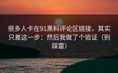 很多人卡在91黑料评论区链接，其实只差这一步：然后我做了个验证（别踩雷）