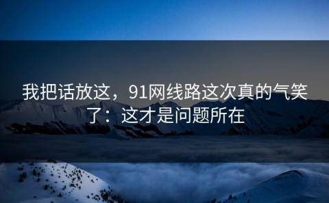 我把话放这，91网线路这次真的气笑了：这才是问题所在