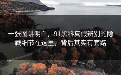 一张图讲明白，91黑料真假辨别的隐藏细节在这里，背后其实有套路
