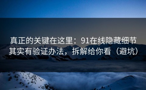真正的关键在这里：91在线隐藏细节其实有验证办法，拆解给你看（避坑）