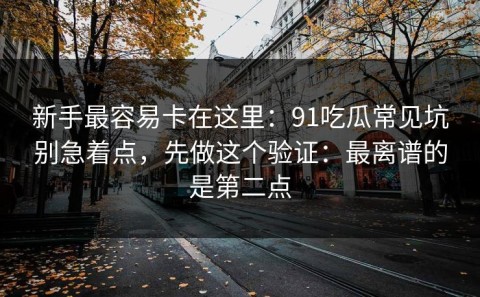 新手最容易卡在这里：91吃瓜常见坑别急着点，先做这个验证：最离谱的是第二点
