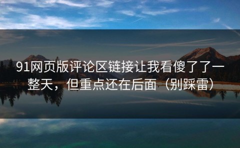 91网页版评论区链接让我看傻了了一整天，但重点还在后面（别踩雷）