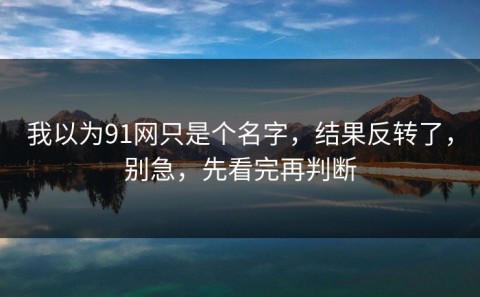 我以为91网只是个名字，结果反转了，别急，先看完再判断
