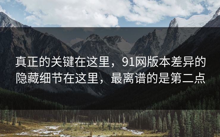 真正的关键在这里,91网版本差异的隐藏细节在这里,最离谱的是第二点 真正的关键在这里,91网版本差异的隐藏细节在这里,最离谱的是第二点