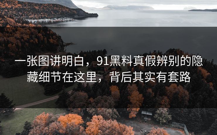 一张图讲明白，91黑料真假辨别的隐藏细节在这里，背后其实有套路