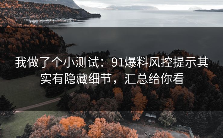 我做了个小测试：91爆料风控提示其实有隐藏细节，汇总给你看