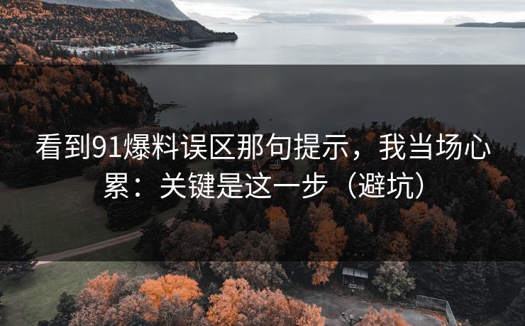 看到91爆料误区那句提示,我当场心累:关键是这一步(避坑) 看到91爆料误区那句提示,我当场心累:关键是这一步(避坑)